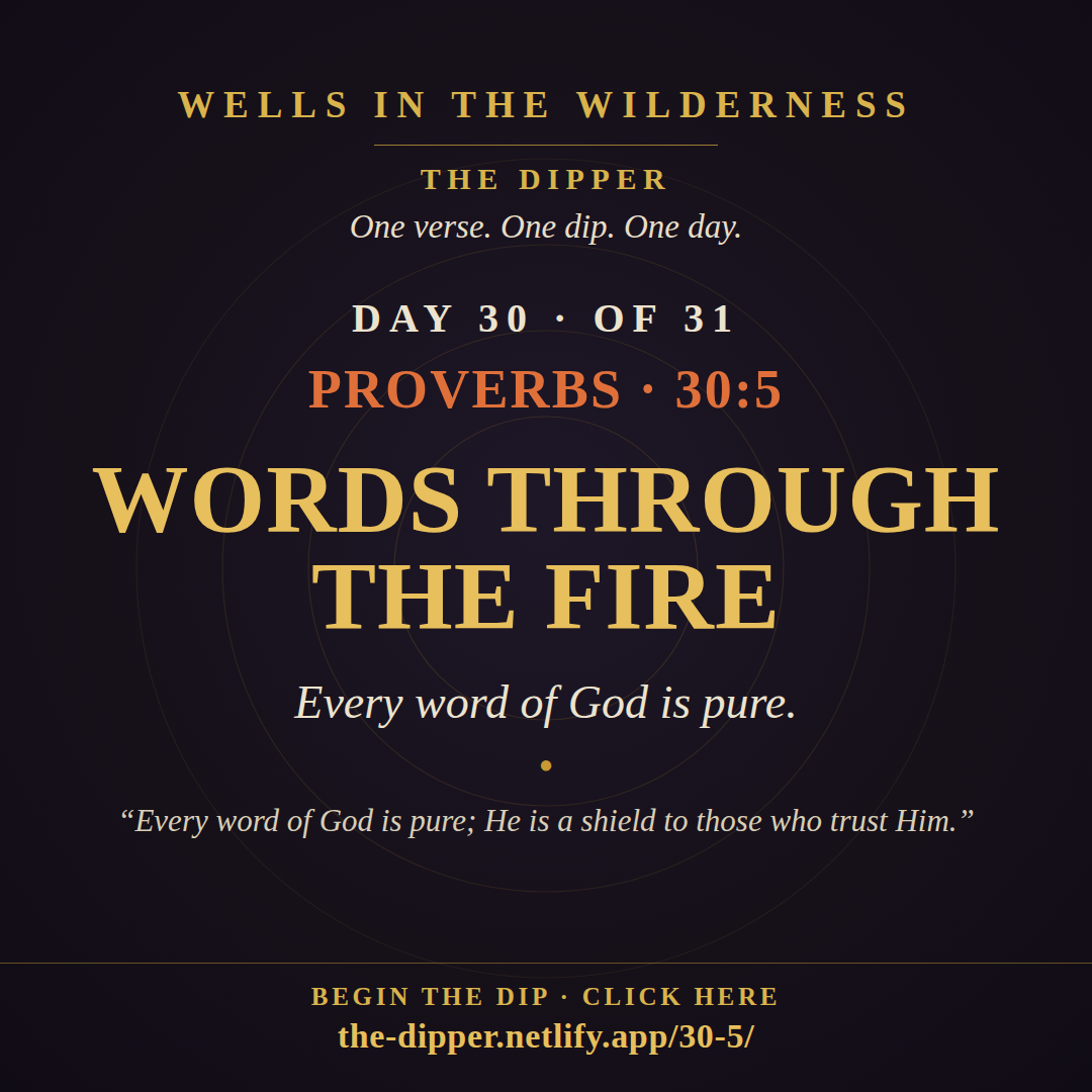 The Dipper — Day 30 of 31, Proverbs 30:5: Words Through the Fire