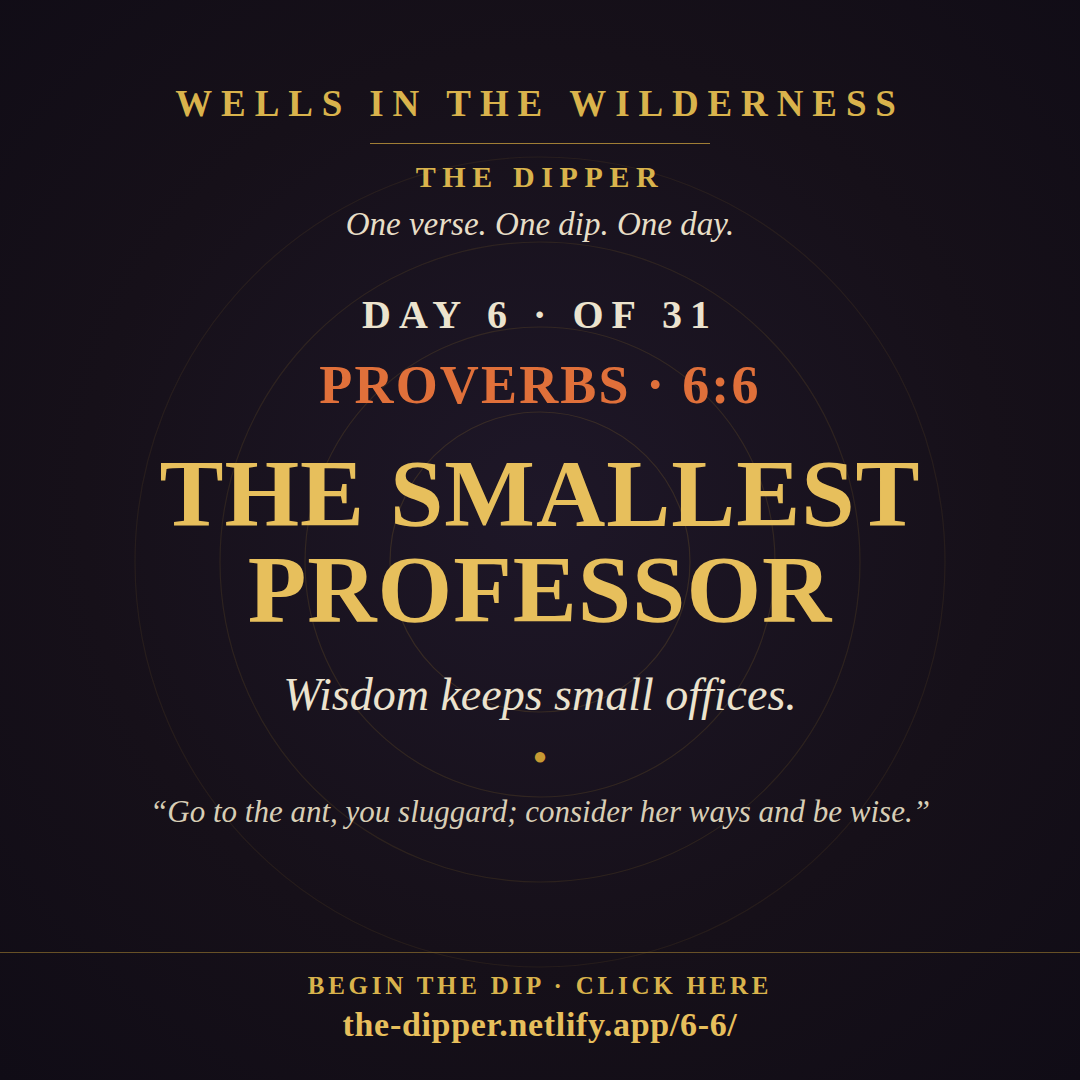 The Dipper — Day 6 of 31, Proverbs 6:6: The Smallest Professor